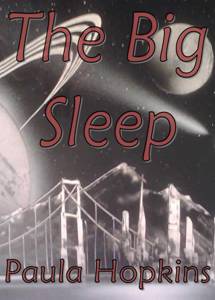 Big Sleep Book Cover
